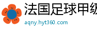 法国足球甲级联赛